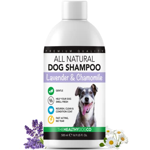 The Healthy Dog Co Volledig natuurlijke hondenshampoo en conditioner Kamille en lavendel hondenshampoo voor stinkende honden Hondenshampoo voor de gevoelige huid, hondenconditioner 500ml