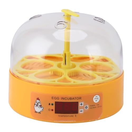 Depisuta Incubator met 6 Eieren, Automatische temperatuur- en Vochtigheidsregeling, Handmatige Eierdraaiende Pluimvee-incubator, Incubators voor Het Uitbroeden van Eieren, Uitbroedende
