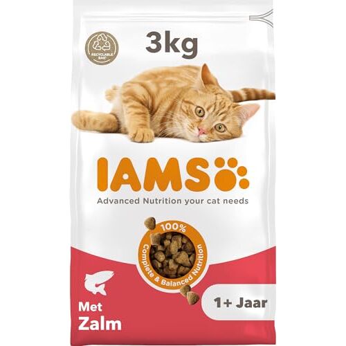 IAMS Kattenvoer droog met zalm droogvoer voor katten van 1-6 jaar, 3 kg
