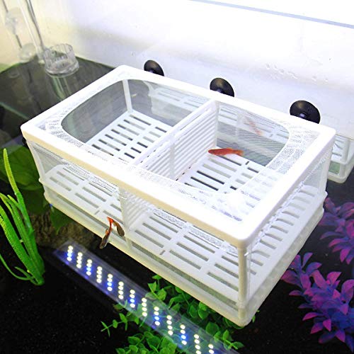Senzeal Aquarium Mesh Spawning Tank Vis Isolatie Fokken Tank Incubator Incubator Mesh Fish Tank Isolatie Box voor Aquarium Baby Vis met 3 Pipet