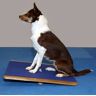 FitPAWS Balansbord extra groot 75x75 cm blauw