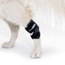 Ortocanis Haaksteun voor honden met artrose, ligamentletsel of peesontsteking van gewrichten. Maat M