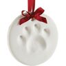 Pearhead Pet Paw Prints Hond of Kat Poot Print Opknoping DIY Keepsake, Uitstekend voor elke Pet Lover of Pet Eigenaar, Wit, One Size, 50001