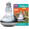 Arcadia D3 UV Basking Lamp, 100 W, E27