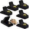 Todoxi Muis Traps, Muizenval, Muizen Traps, 6 Pack Mouse Traps Voor Binnen Die Kill Onmiddellijk, Knaagdier Trap, Muizen Kill Mouse Controle