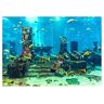 Cafopgrill Aquarium Hintergrund Poster, Aquarium-Hintergrund PVC Korallen Aquarium Hintergrund Unterwasser Poster Aquarium Wanddekorationen Aufkleber (61 x 41 cm)