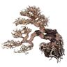 Amtra Croci Hout Oosterse Wind 7 Small 1 Count 21 g, 25 X 10 X 20 cm