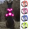 YFbrite Lichtgevend hondenharnas USB oplaadbaar LED-hondenharnas, reflecterend hondenharnas, hondenverlichting voor harnas, comfortabel verstelbaar hondenharnas, ademend knipperend hondenharnas