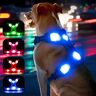 YFbrite Lichtgevend hondenharnas USB oplaadbaar LED-hondenharnas, reflecterend hondenharnas, hondenverlichting voor harnas, comfortabel verstelbaar hondenharnas, ademend knipperend hondenharnas