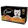 Cesar Selectie Dell'Orto, hondenvoer, gesorteerde selectie, 150 g, 24 schalen 3600 g