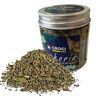 Croci Euphoria Catnip Pot