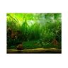 Zerodis Dekoratives Plakat für Aquarium Wasser Gras Stil Aufkleber PVC Aufkleber Kleber Dekore für Aquarium Hintergrund(61 * 30cm)