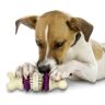 Premier Busy Buddy Bristle Bone