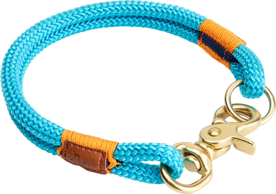 HUNTER Hondenhalsband Oss - petrol - 4