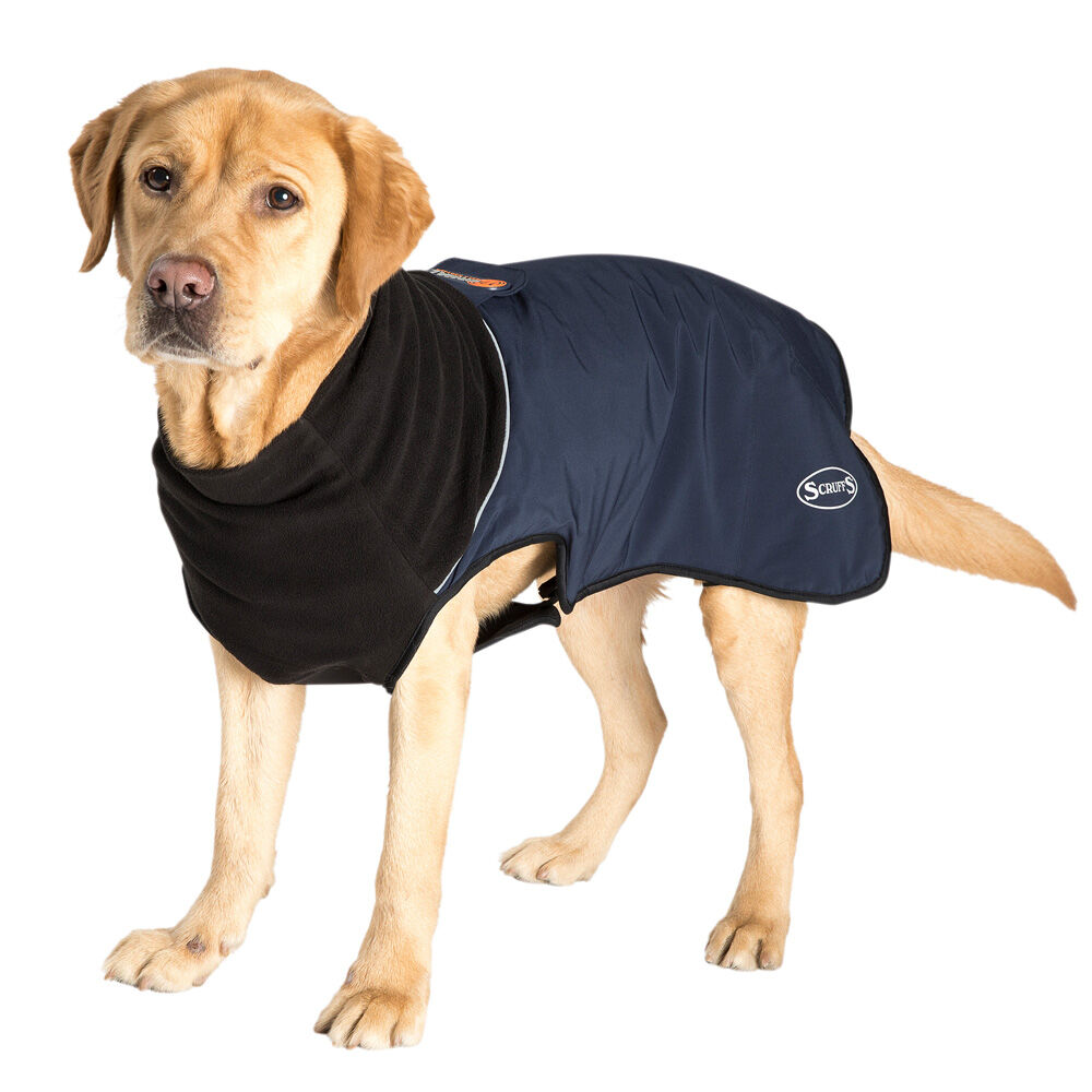 Scruffs Honden winterjas Thermal Dog Coat - blauw -