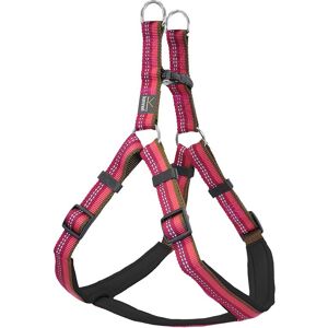 Equip Dog Harness