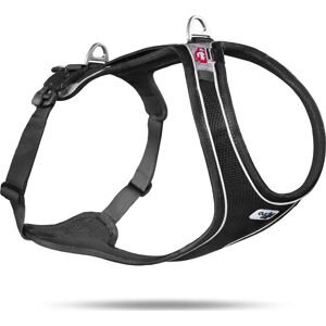 Curli Magnetic Belka Comfort Harness XL Black XL, Black