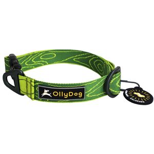 OllyDog Flagstaff Collar Sage Bark S, Sage Bark