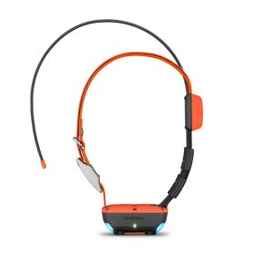 Garmin Alpha T20 GPS collar, hundehalsbånd, GPS STD
