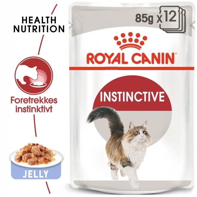 Royal Canin Instinctive in Jelly 12x85 g