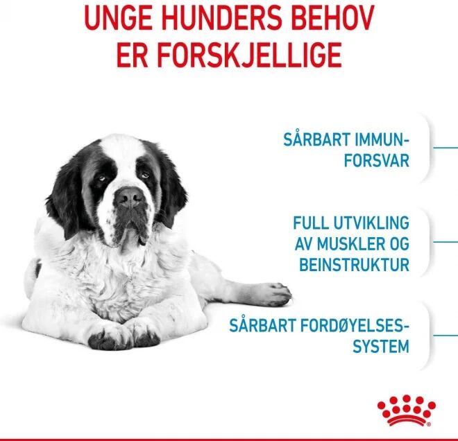 Royal Canin Giant Junior (15 kg)