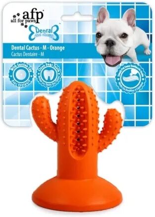 All for Paws Dental Cactus M Orange