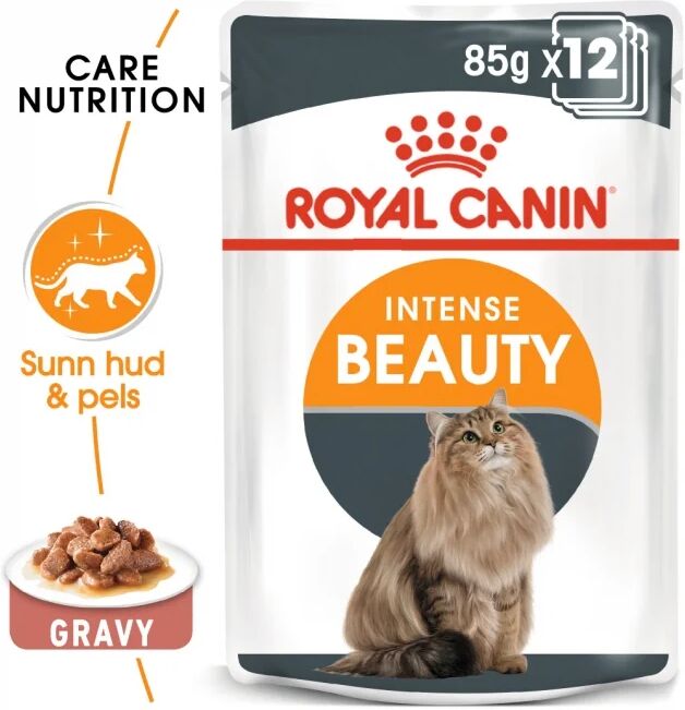 Royal Canin Intense Beauty in Gravy 12x85 g