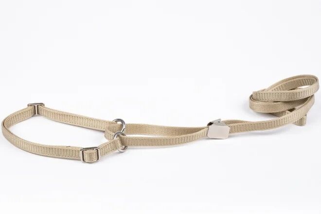 Show Dog Show lead flat halvstrup med klips, Beige (10 mm x 110 cm)