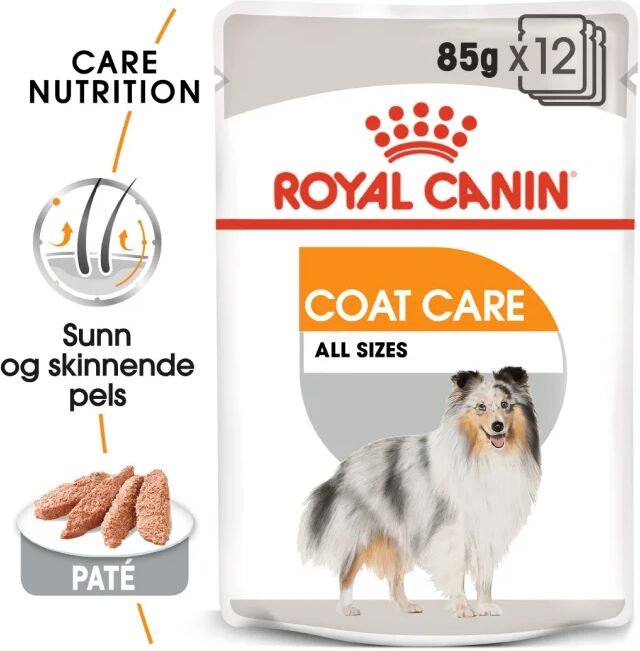 Royal Canin Coat Care Adult 12x85 g