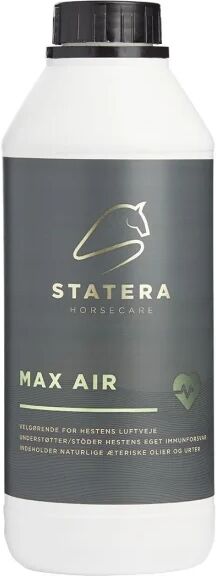 Statera Max Air 1 l