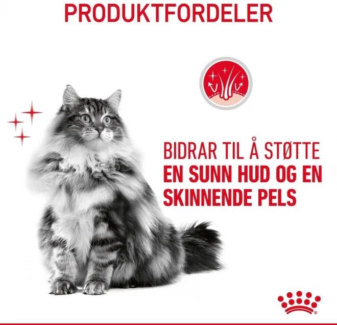 Royal Canin Hair & Skin Care (2 kg)