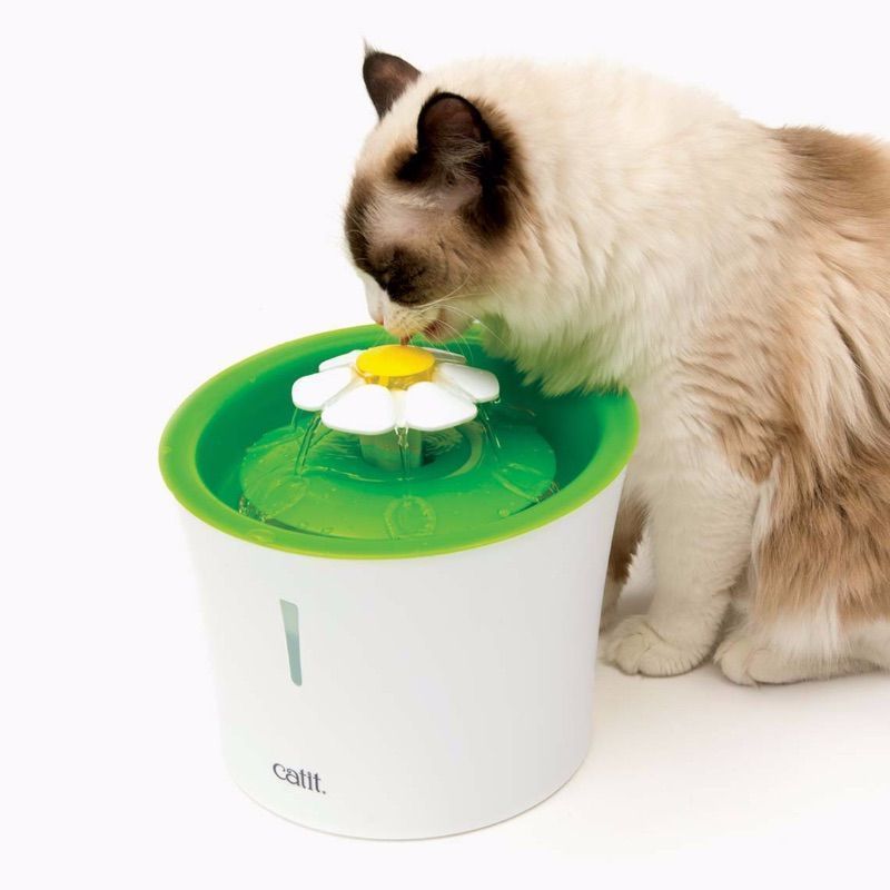 Catit Senses 2.0 Flower Fountain