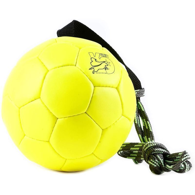 Julius-K9 Show Training Ball 170mm