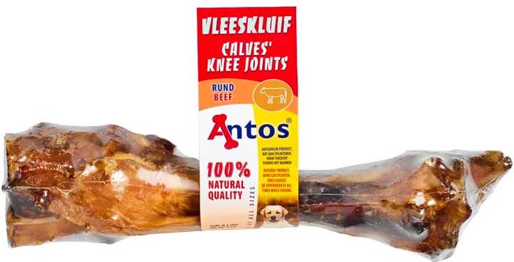 Antos kneledd av kalv