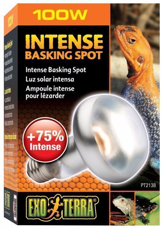 Exo Terra Intense Basking Spot 100W