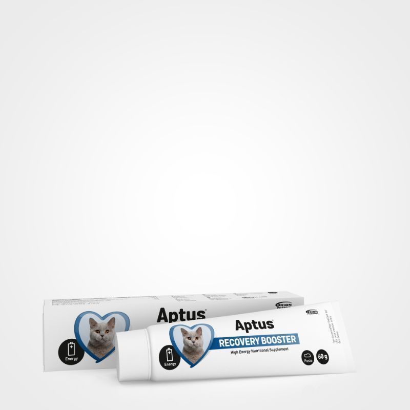 Aptus Recovery Booster Katt 60g