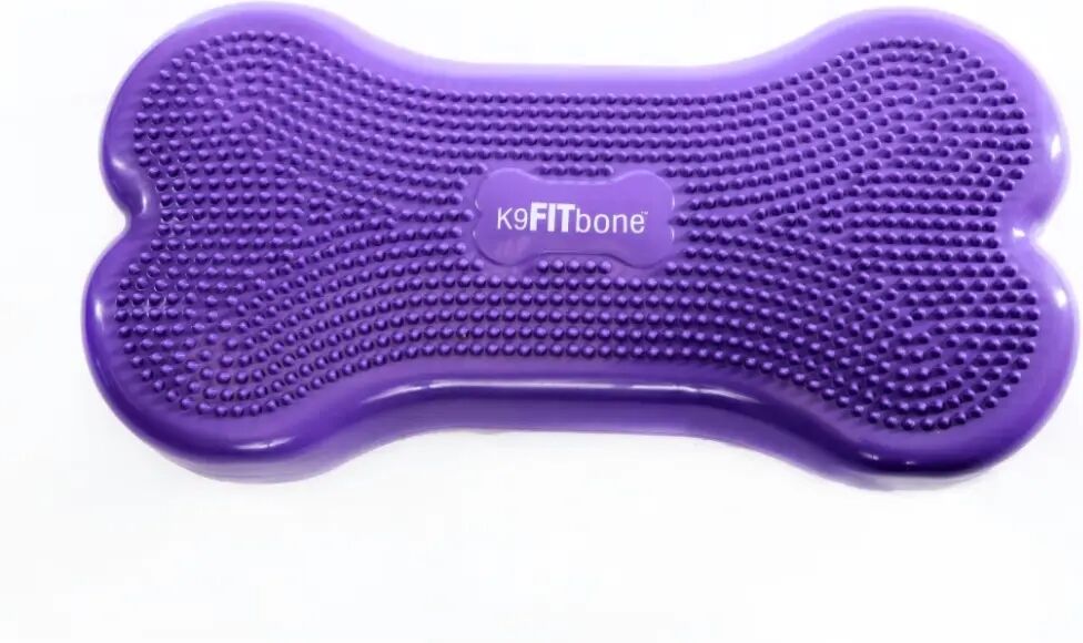 FitPAWS Balanseplatform for dyr Giant K9FITbone PVC fiolett