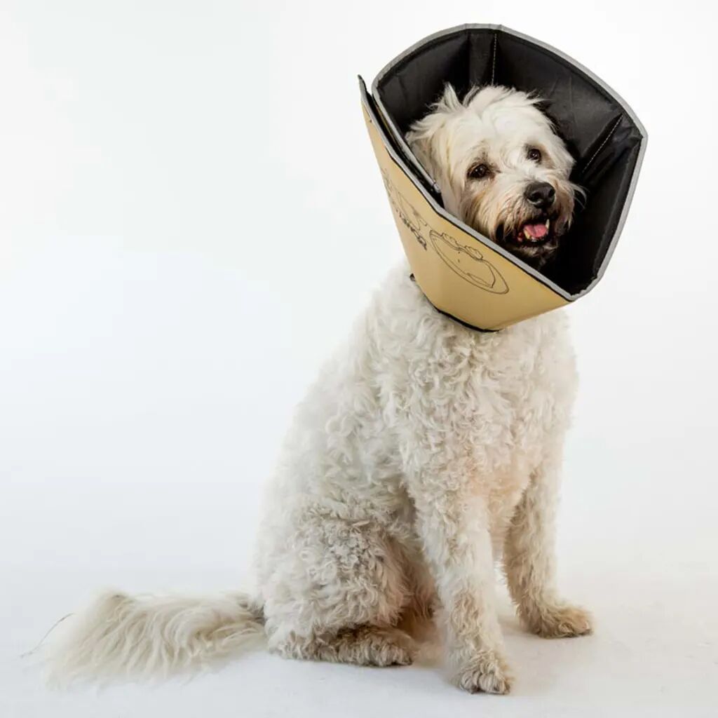 All Four Paws E-hundekrage Comfy Cone XS 11 cm lysebrun