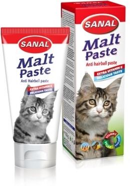 Maltpaste