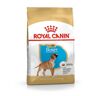 Royal Canin Sucha karma dla szczeniąt rasy boxer 12 kg