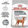 ROYAL CANIN CCN Medium Dental Care 10kg karma sucha dla psów dorosłych, ras średnich, redukująca powstawanie kamienia nazębnego