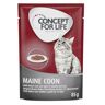 30 zł taniej! Concept for Life, karma mokra dla kota, 48 x 85 g - Maine Coon Adult, ragout