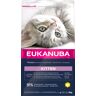 Eukanuba Healthy Start Kitten - 3 x 2 kg