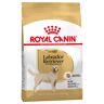 Royal Canin Breed Royal Canin Labrador Retriever Adult - 2 x 12 kg