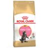 Royal Canin Breed Royal Canin Maine Coon Kitten - 10 kg