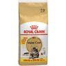 Royal Canin Breed Royal Canin Maine Coon Adult - 10 kg + 2 kg gratis!