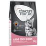 Concept for Life Maine Coon Kitten - Ulepszona receptura! - 3 kg