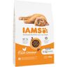 IAMS Advanced Nutrition Kitten, ze świeżym kurczakiem - 2 x 10 kg