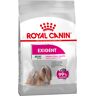 Royal Canin Care Nutrition Royal Canin Mini Exigent - 3 kg