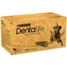 PURINA Dentalife, codzienna pielęgnacja zębów dla dużych psów - 72 sztuk (24 x 106 g)